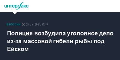 Полиция возбудила уголовное дело из-за массовой гибели рыбы под Ейском - interfax.ru - Москва - Краснодарский край - Ейск