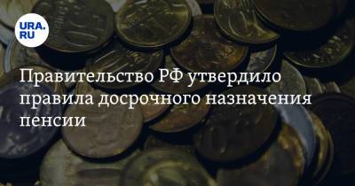 Правительство РФ утвердило правила досрочного назначения пенсии - ura.news