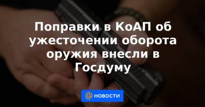 Поправки в КоАП об ужесточении оборота оружия внесли в Госдуму - news.mail.ru