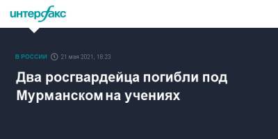 Два росгвардейца погибли под Мурманском на учениях - interfax.ru - Москва - Мурманск - Мурманская обл. - Северный Флот