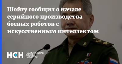 Сергей Шойгу - Шойгу сообщил о начале серийного производства боевых роботов с искусственным интеллектом - nsn.fm