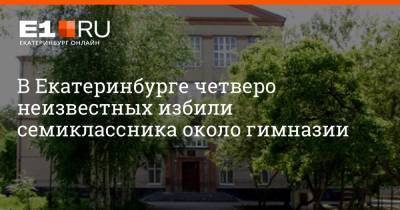 В Екатеринбурге четверо неизвестных избили семиклассника около гимназии - e1.ru - Екатеринбург