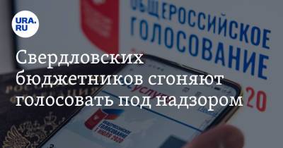 Свердловских бюджетников сгоняют голосовать под надзором. Инсайд - ura.news - Свердловская обл.