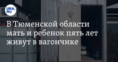 В Тюменской области мать и ребенок пять лет живут в вагончике - ura.news - Тюменская обл. - район Тюменский