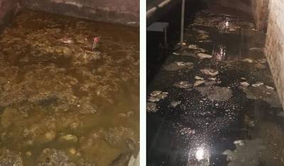 Подвалы жилого дома на юго-западе Москвы почти месяц залиты фекальными водами - mskgazeta.ru - Москва