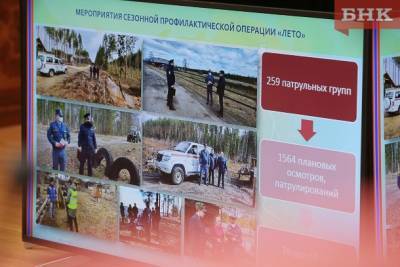 Лесничества Коми призвали активнее наказывать нарушителей противопожарного режима - bnkomi.ru - респ. Коми