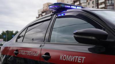 В Балашихе возбудили дело об изнасиловании несовершеннолетней девушки - iz.ru - Москва - Московская обл.