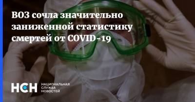 ВОЗ сочла значительно заниженной статистику смертей от COVID-19 - nsn.fm