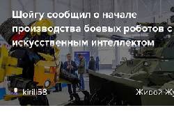 Сергей Шойгу - Шойгу заявил о серийном производстве боевых роботов с ИИ в России - newsland.com