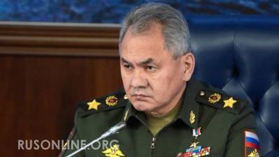 Сергей Шойгу - Шойгу объявил о создании в России армии боевых роботов - rusonline.org