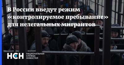 В России введут режим «контролируемое пребывание» для нелегальных мигрантов - nsn.fm