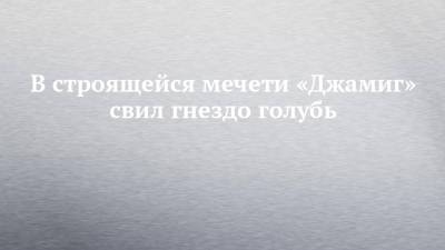 Наиль Магдеев - В строящейся мечети «Джамиг» свил гнездо голубь - chelny-izvest.ru - Набережные Челны