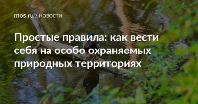 Простые правила: как вести себя на особо охраняемых природных территориях - mos.ru - Москва