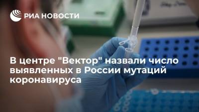 Илон Маск - Ринат Максютов - В центре "Вектор" назвали число выявленных в России мутаций коронавируса - ria.ru - Москва - Россия - Новосибирск - Нижний Новгород