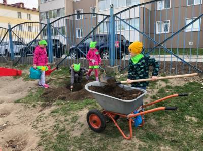 Дошколята посадили "Сад памяти" в Южно-Сахалинске в честь героев войны - sakhalin.info - Сахалинская обл. - Южно-Сахалинск