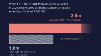 ВОЗ: смертность от COVID-19 может быть до трех раз выше официальных данных - piter.tv