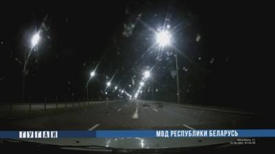 Мотоциклист погиб при столкновении с лосем в Могилеве - naviny.by