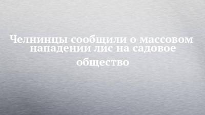 Челнинцы сообщили о массовом нападении лис на садовое общество - chelny-izvest.ru