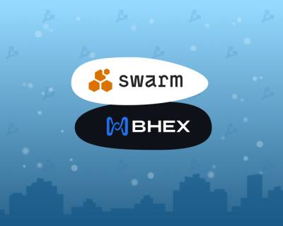 Цена токена Ethereum Swarm за сутки выросла на 800% - forklog.com