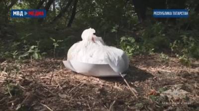 Украденные колумбийцем и спрятанные в лесу под Казанью бриллианты сняли на видео - penzainform.ru - Москва - Колумбия - Казань - Аргентина