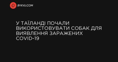 У Таїланді почали використовувати собак для виявлення заражених COVID-19 - bykvu.com