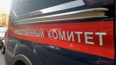 СК возбудил еще одно дело после пожара с шестью погибшими в Удмуртии - inforeactor.ru - Ульяновская - респ. Удмуртия