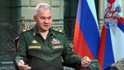 Сергей Шойгу - Полтора десятка образцов оружия сняли с производства после применения в Сирии - piter.tv - Сирия - Минобороны