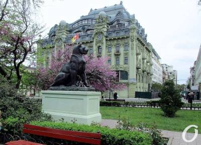 Май по-одесски: умытый дождями Горсад (фоторепортаж) - odessa-life.od.ua - Одесса