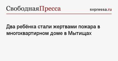 Ольга Врадий - Два ребёнка стали жертвами пожара в многоквартирном доме в Мытищах - svpressa.ru - Амстердам