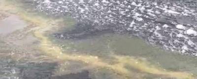 Мазут около Красноярской ТЭЦ-1 попал в воды реки Теплая, впадающей в Енисей - runews24.ru
