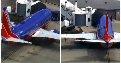 Пассажирские самолеты Boeing столкнулись в аэропорту Чикаго (видео) - focus.ua - США - Вашингтон - Chicago