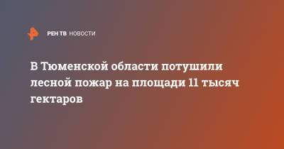 Александр Моор - В Тюменской области потушили лесной пожар на площади 11 тысяч гектаров - ren.tv - Тюменская обл. - район Ярковский