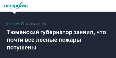Александр Моор - Тюменский губернатор заявил, что почти все лесные пожары потушены - interfax.ru - Москва - Тюмень - Тюменская обл.