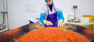 Росстат зафиксировал рекордное за 10 лет повышение цен на красную икру - stolicaonego.ru