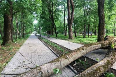 В Тверской области шквальный ветер повалил деревья на детскую площадку - tver.mk.ru - Тверская обл.