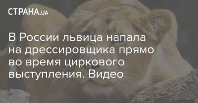 В России львица напала на дрессировщика прямо во время циркового выступления. Видео - strana.ua - Нападение