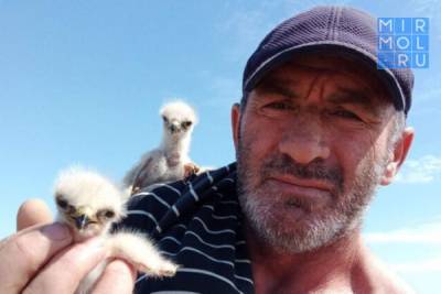 Дагестанский фермер заботится о диких птицах - mirmol.ru