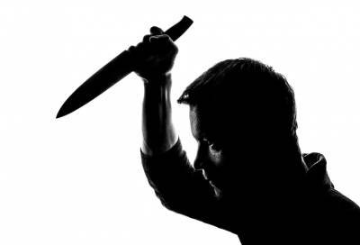 Житель Кировского района с ножом набросился на своего гостя - online47.ru - Ленинградская обл. - р-н Кировский - Кировск
