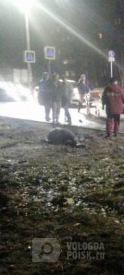 Вдова погибшего череповчанина ищет очевидцев смертельного ДТП - vologda-poisk.ru - Вологда