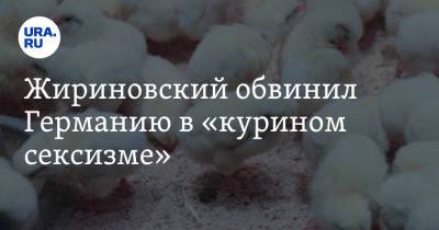Владимир Жириновский - Жириновский обвинил Германию в «курином сексизме» - ura.news - Берлин