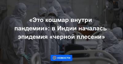 «Это кошмар внутри пандемии»: в Индии началась эпидемия «черной плесени» - news.mail.ru