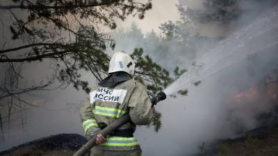 Александр Моор - В Тюменской области потушены 90% лесных пожаров - russian.rt.com - Тюменская обл.