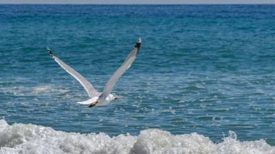 Прогноз погоды в Крыму на воскресенье - crimea.ria.ru - Крым - Симферополь - Евпатория