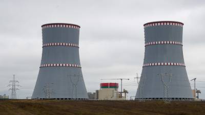 ЕК выделит €2,7 млн на подготовку контролирующих БелАЭС органов - russian.rt.com
