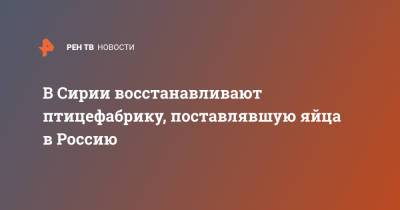 В Сирии восстанавливают птицефабрику, поставлявшую яйца в Россию - ren.tv - Россия - Сирия