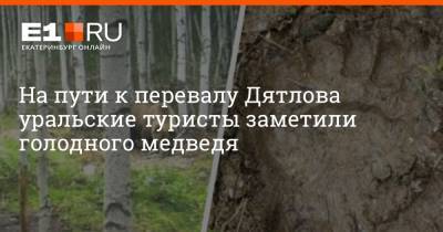 На пути к перевалу Дятлова уральские туристы заметили голодного медведя - e1.ru - Екатеринбург