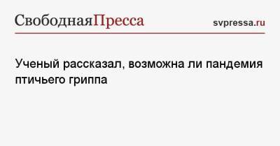 Ученый рассказал, возможна ли пандемия птичьего гриппа - svpressa.ru