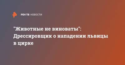 "Животные не виноваты": Дрессировщик о нападении львицы в цирке - ren.tv - Новосибирская обл. - район Мошковский