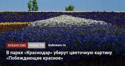 В парке «Краснодар» уберут цветочную картину «Побеждающее красное» - kubnews.ru - Краснодарский край - Краснодар