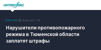 Нарушители противопожарного режима в Тюменской области заплатят штрафы - interfax.ru - Москва - Тюменская обл.